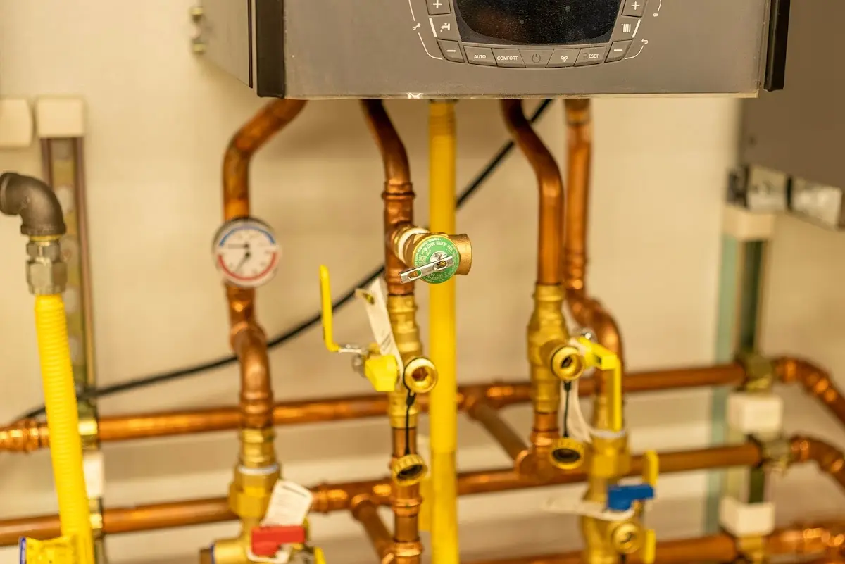 Licensed technician providing Emergency Plumbing for a homeowner in Mount Pleasant